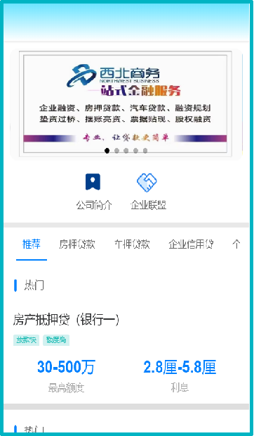 西北商务企业信息化系统建设咨询、规划设计、开发实施运维